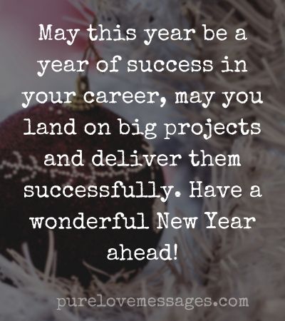 Happy New Year Message to Boss