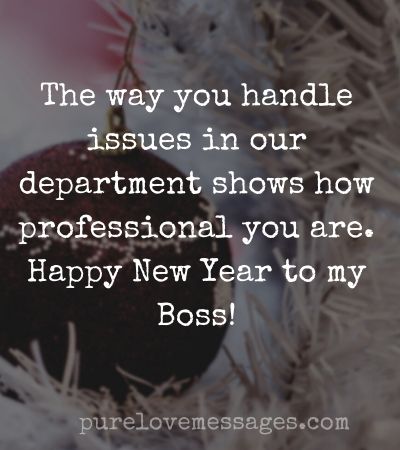 new year wishes messages for boss
