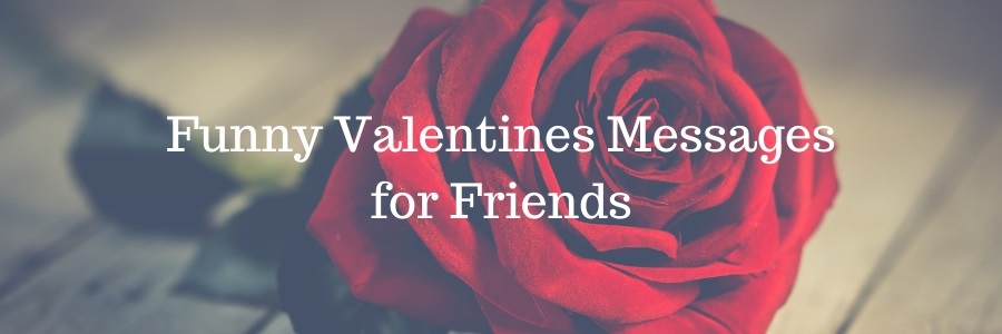 Funny Valentines Messages for Friends